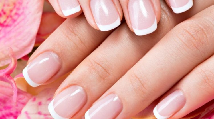 Nail Anatomy 101: A Complete Guide for Nail Art Enthusiasts